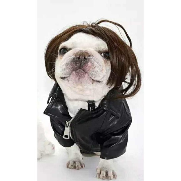 Dog Wig 🎃 Hysterical Funny Gift Puppy Halloween Costume - Picture 2 of 5
